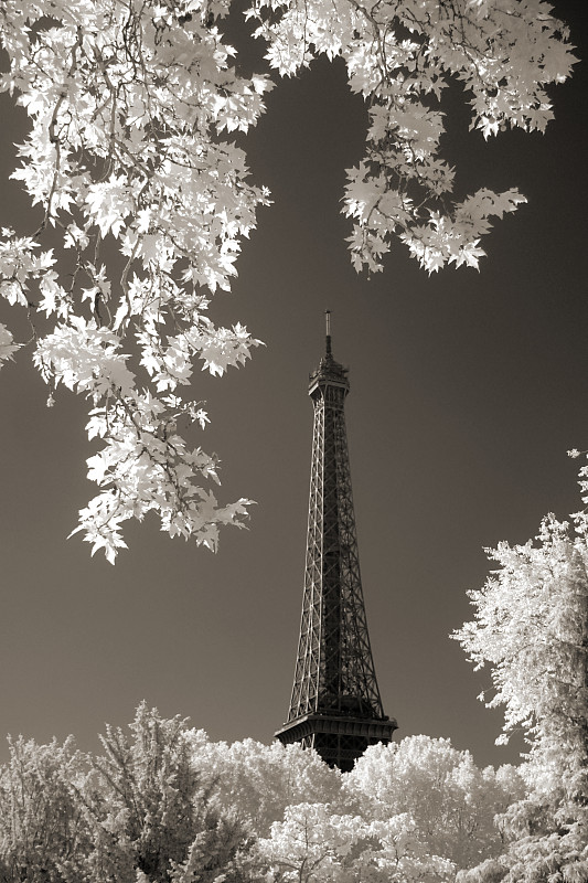 埃菲尔铁塔,红外摄影,国际著名景点,城市生活,法国,枝繁叶茂,著名景点,夏天,户外,天空
