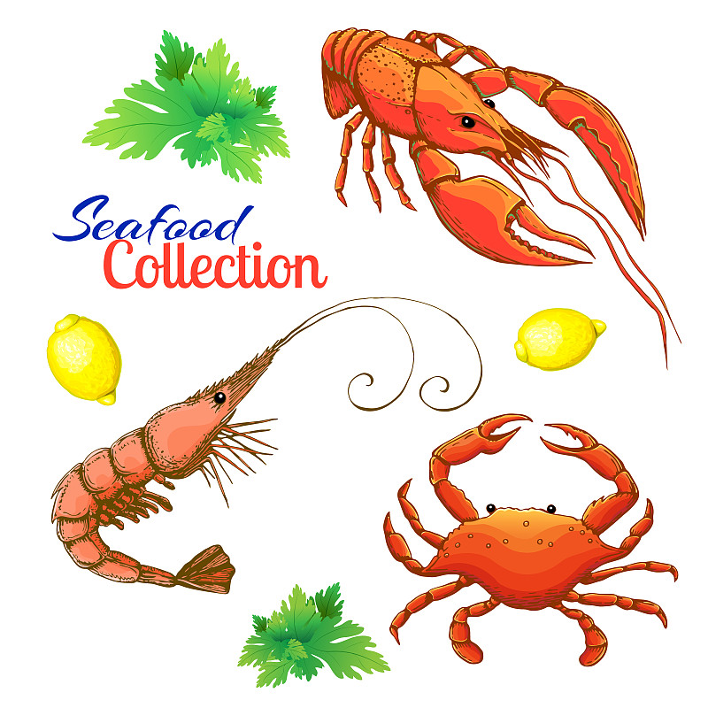 螯虾,螃蟹,柠檬,龙虾,对虾,草图,卡通,海产,欧芹,小龙虾