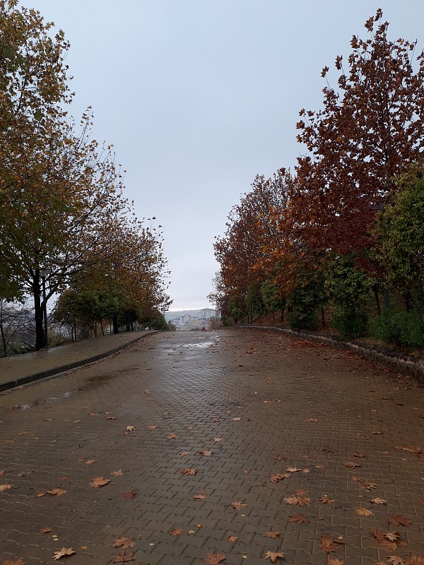 步行道路,小路,湿,雨,土耳其,灵感,云,巷,草,自然美
