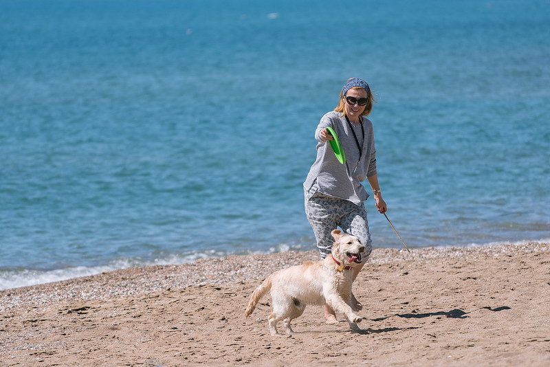 狗,幸福,女人,进行中,海滩,土耳其,飞盘,玩具,寻回（动物习性）,动物