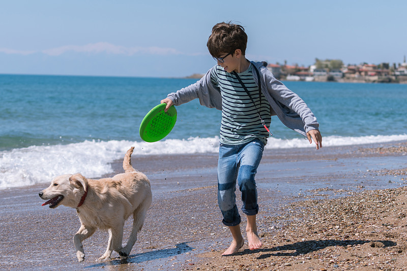 狗,幸福,男孩,海滩,土耳其,飞盘,玩具,仅儿童,动物,儿童