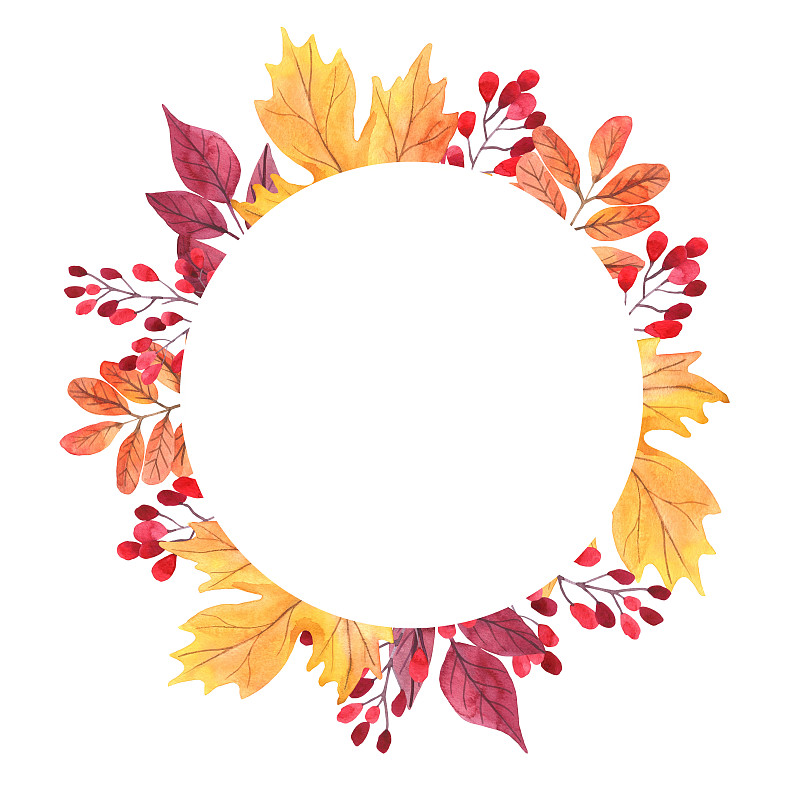 边框,浆果,绘画插图,圆形,红色,秋天,枝,叶子,农作物