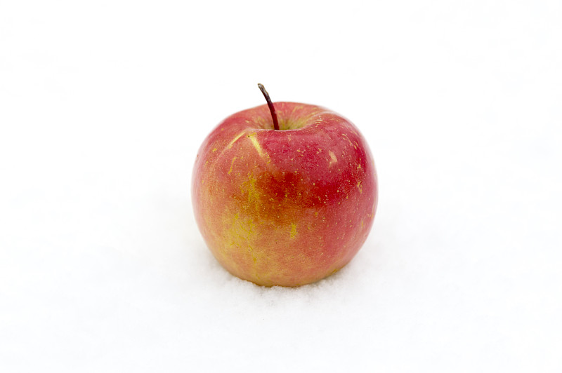 高对比度,雪,白色背景,苹果,农业,寒冷,清新,一个物体,背景分离,食品
