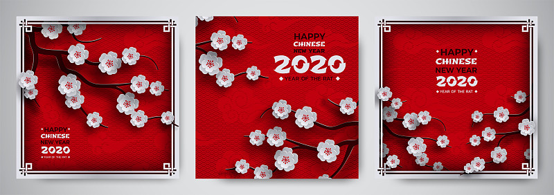 2020,边框,云,矢量,式样,传统,春节,背景,节日,花