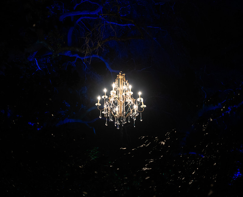 秘密,水晶吊灯,光,森林,在之间,曝光过度,超现实主义的,暗色,童话故事,树干
