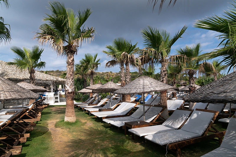 椅子,伞,棕榈树,海滩,甲板,在下面,空的,土耳其,热带气候,椰子