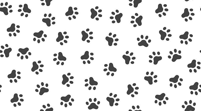 脚印,壁纸,狗,四方连续纹样,背景,纹理,白色,宠物,计算机图标,猫