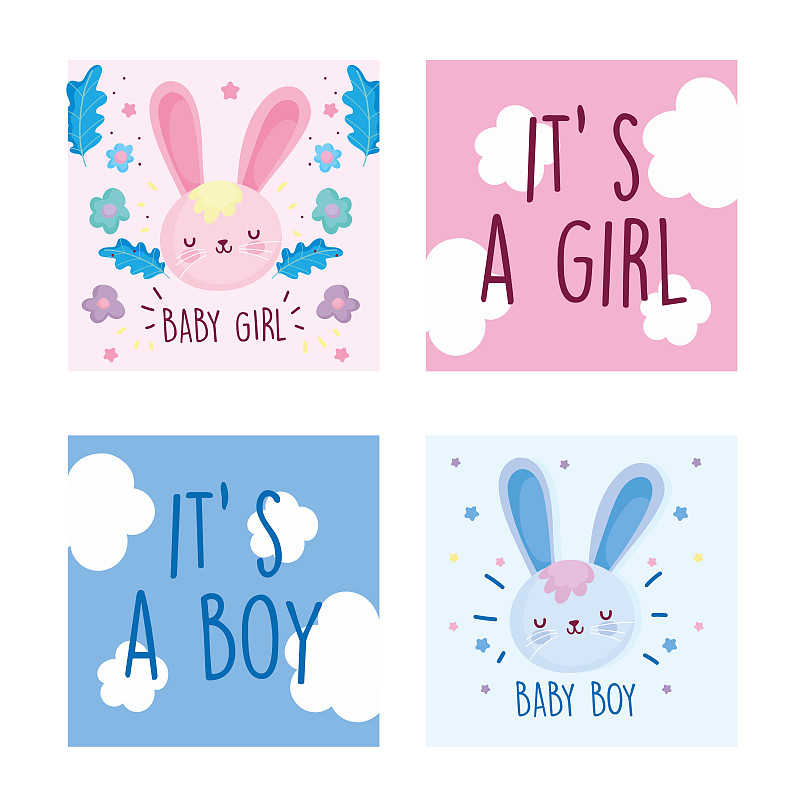 女孩,贺卡,可爱的,兔子,男孩,性别标志,花,装饰,探索