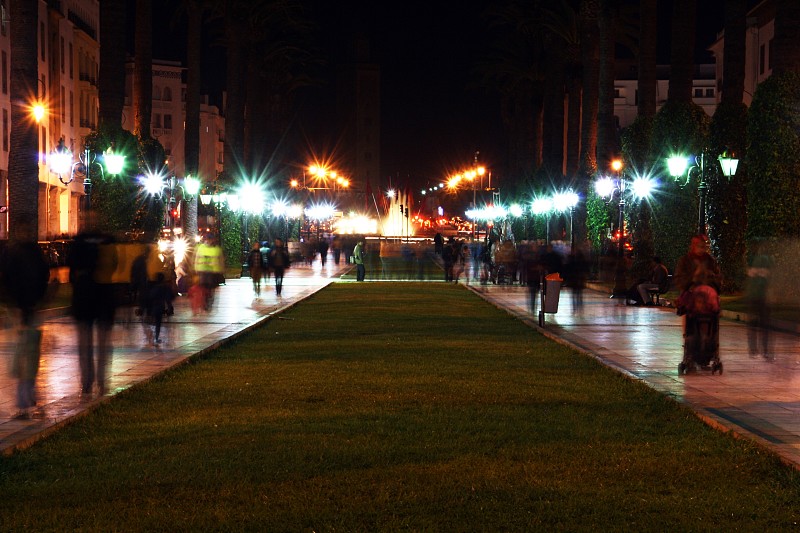 林荫路,摩洛哥,夜晚,草坪,城市生活,照明设备,穆罕默德五世摩洛哥,黄昏,草,拉巴特