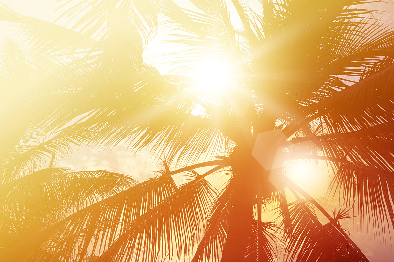 夏天,棕榈树,阳光光束,热带气候,云,泰国,橙色,黄昏,逃避现实,色彩鲜艳