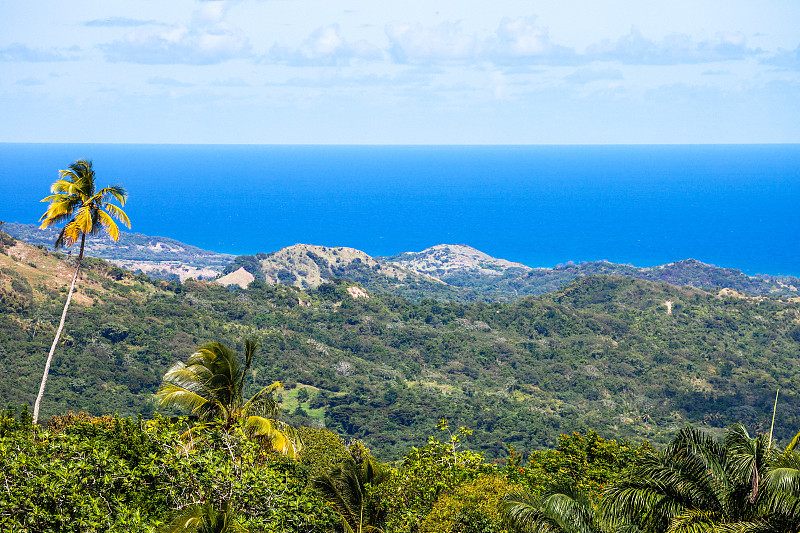 巴巴多斯,风景,一个物体,热带气候,大西洋,色彩鲜艳,户外,晴朗,半岛,自然