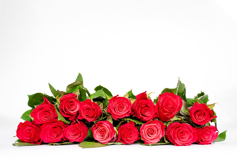 玫瑰,清新,礼物,红色,白色背景,概念,绿色,爱,花,约会