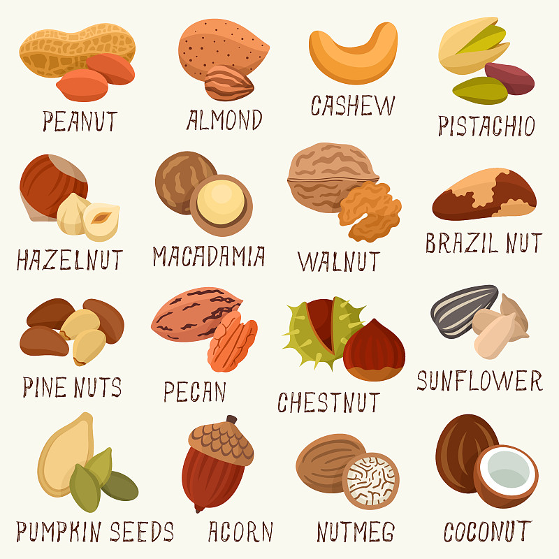 坚果,计算机图标,背景分离,椰子,蛋白质,杏仁,植物,巴西,有机食品,自然