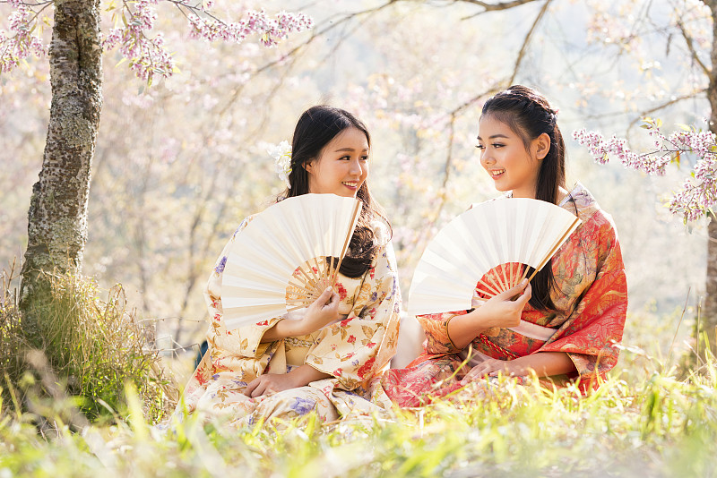 传统,和服,女人,春天,旅行者,日本,女孩,樱花,衣服,亚洲