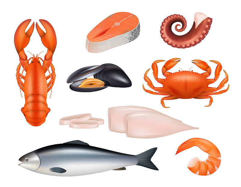 鱼类,海产,膳食,矢量,章鱼,虾,商品,自然,螃蟹,写实