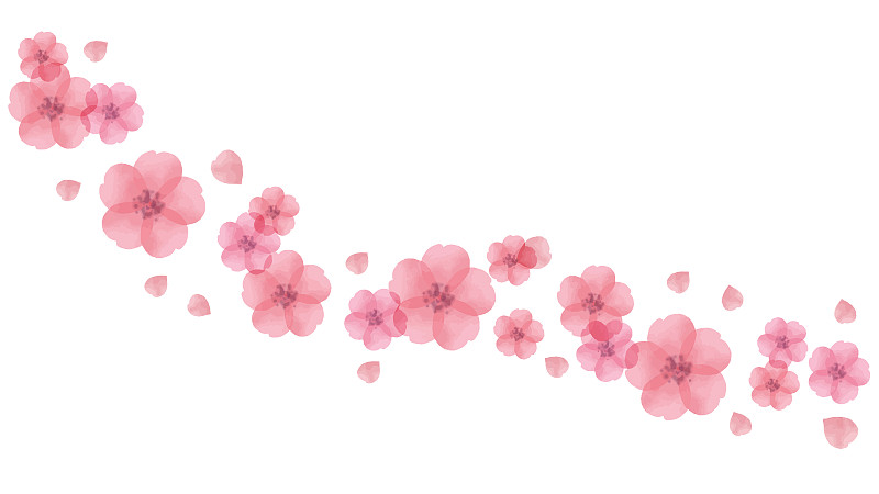 樱桃树,可爱的,华丽的,请柬,贺卡,水彩画颜料,运动,背景分离,边框,品红色