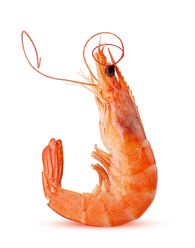 黑色虎虾,清新,一个物体,背景分离,食品,橙色,煮食,成分,餐馆,蛋白质
