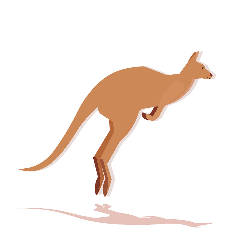 野生动物,动物,袋鼠,澳大利亚,卡通,符号,概念,平坦的,计算机图标,野外动物