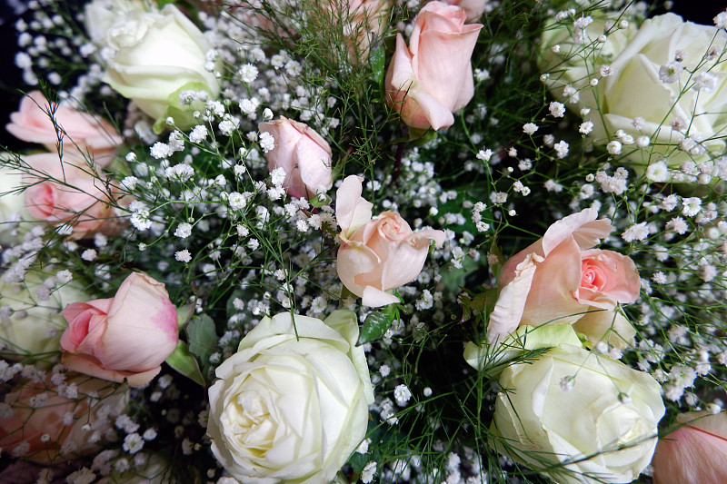 白色,粉色,玫瑰,清新,婚礼,花束,事件,华贵,边框,浪漫