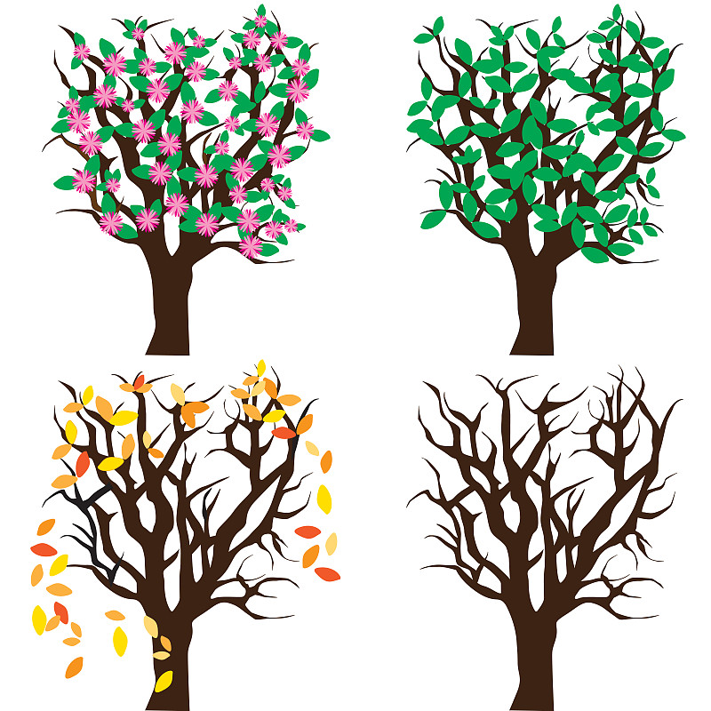 绘画插图,四季,华丽的,贺卡,背景分离,橙色,枝繁叶茂,春天,夏天,草图