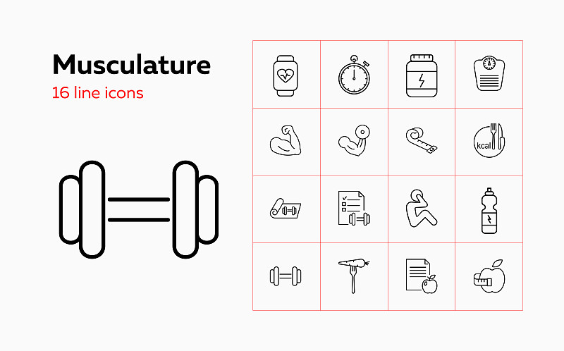 运动,健康食物,计算机图标,线条,脉搏图,一个物体,背景分离,符号,概念,图标集