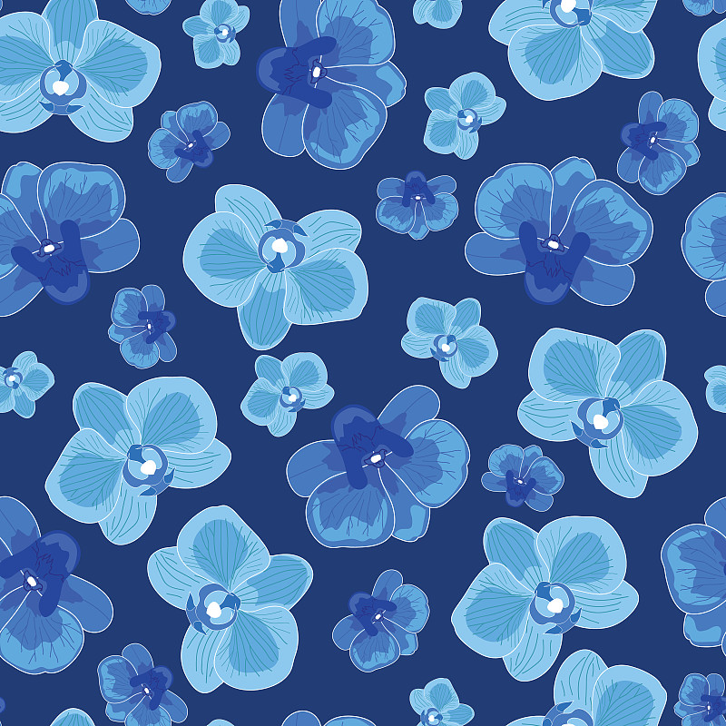 四方连续纹样,兰花,蓝色,蓝色背景,黑色,华丽的,贺卡,纺织品,春天,植物