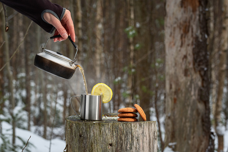 茶,男人,森林,饮料,寒冷,热,斯堪的纳维亚半岛,杯,燕麦饼干,柠檬