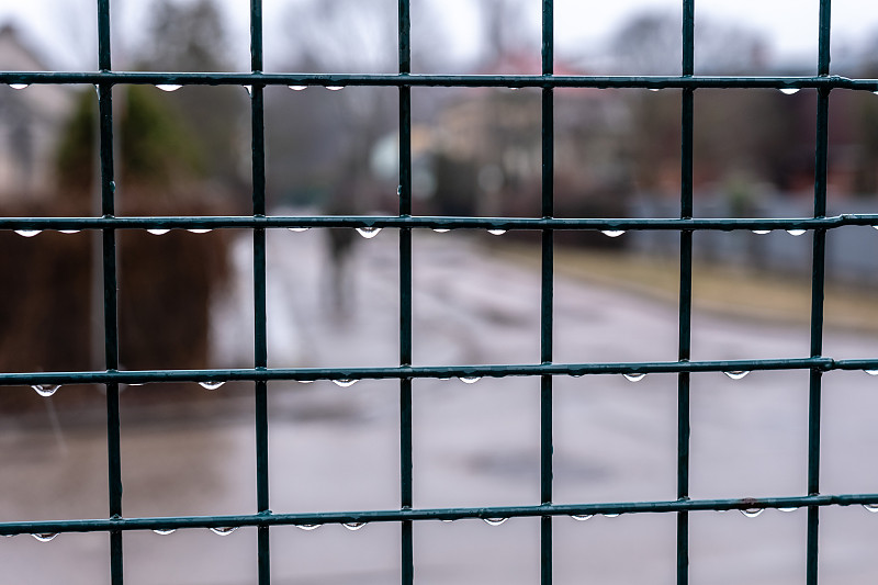 图像,水滴,雨,篱笆,特写,格子,湿,安全,平视角,拉脱维亚