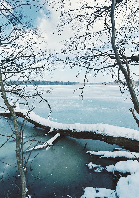 湖,冰,撒谎者,寒冷,环境,霜,雪,天气,树干,河流