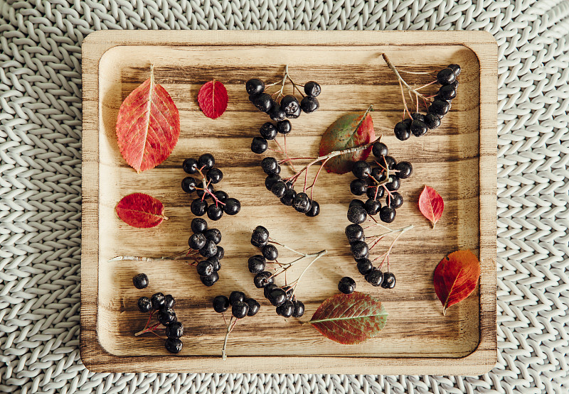 浆果,秋天,叶子,餐盘,野樱莓,色彩鲜艳,接力赛,灌木,清新,自然界的状态