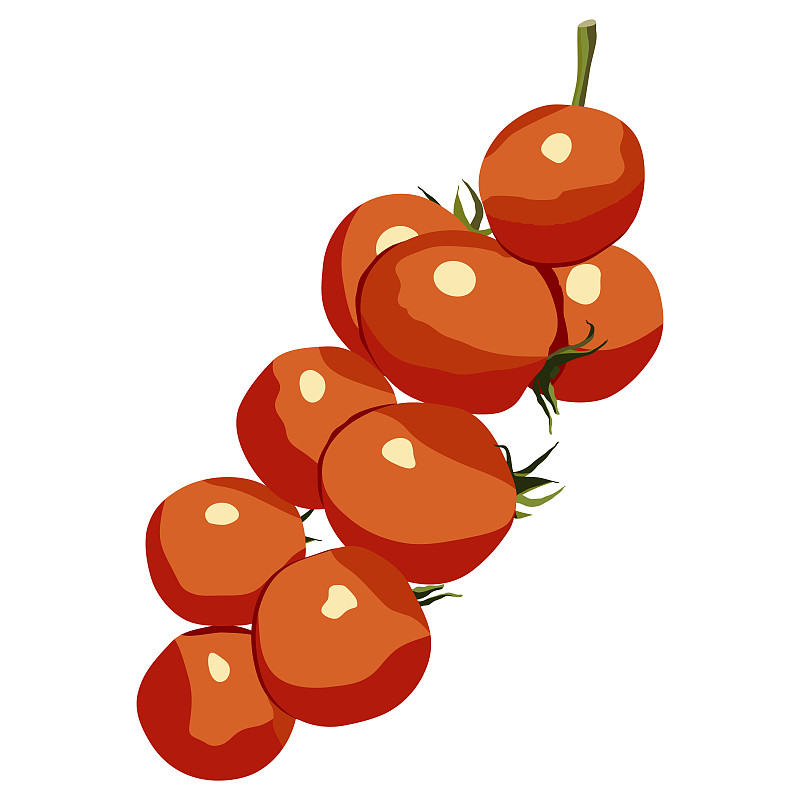 樱桃番茄,计算机图标,素食,枝,矢量,彩色背景,分离着色,动物手,绘制,奉承
