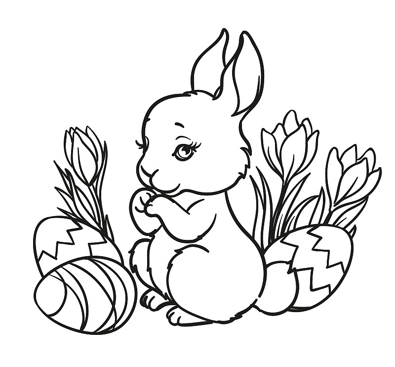 复活节兔子,复活节彩蛋,可爱的,事件,复活节,哺乳纲,草,动物,鸡蛋,春天