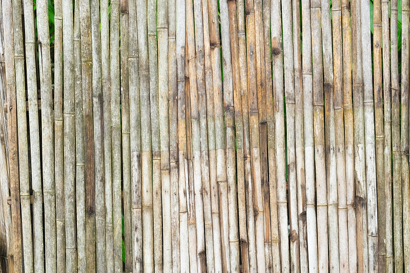 肮脏的,古老的,篱笆,竹子,平视角,背景,在之间,太空,绿色,茎