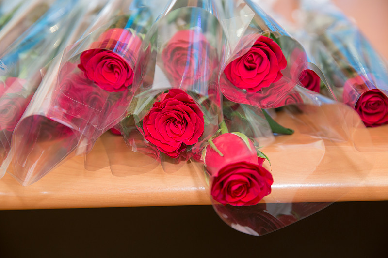 玫瑰,情人节,白昼,红色,白色背景,花束,双亲家庭,爱,祝贺,出示