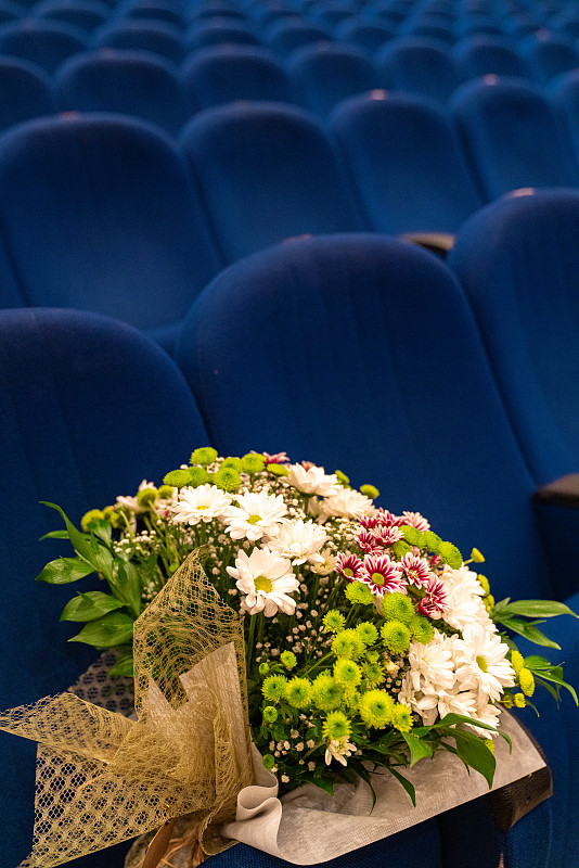 座位,剧院,成一排,胸花,事件,戏剧表演,纺织品,浪漫,会堂,植物