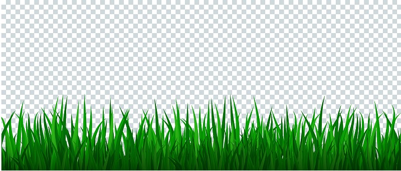 草,绿色,国境线,田赛项目,草坪,贺卡,边框,模板,农场,乡村风格