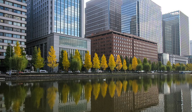 东京,秋天,亚洲,城市生活,人,建筑外部,摩天大楼,图像,著名景点,旅游目的地