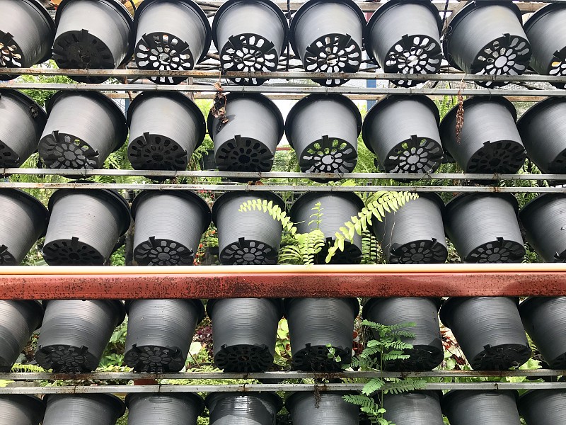 塑胶,直立式花园,成一排,黑色,锅,花盆,泰国,简单,植物,户外