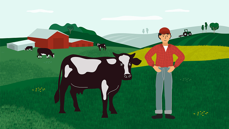 农业,母牛,农民,地形,草,牛,动物,牛仔,农场,农业合作社