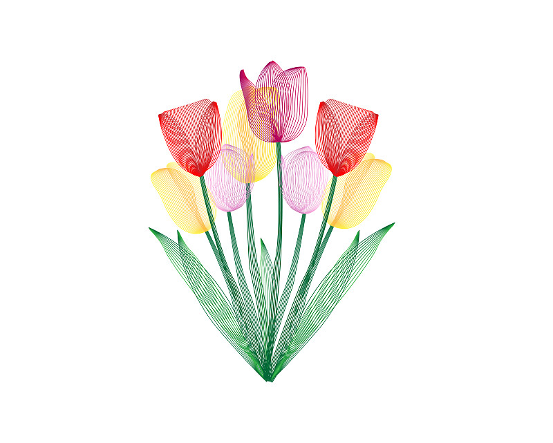 郁金香,绘画插图,花束,亚麻油毡版画,看,可爱的,瑞典,背景分离,春天,植物