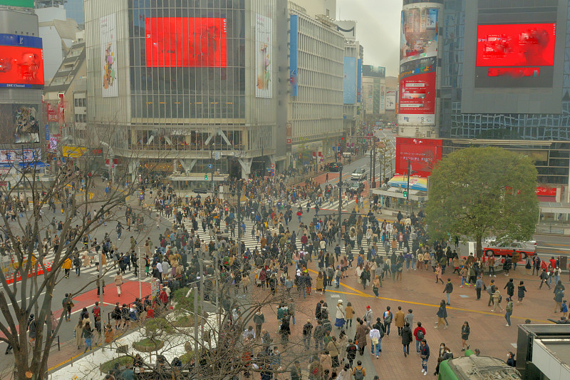 涉谷区,东京,交通,步行区,伞,行人,忙碌,全身像,通勤者,户外