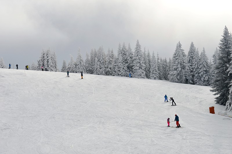 滑雪运动,山,小路,冬季运动,自然,寒冷,人,运动,冬天,塞尔维亚