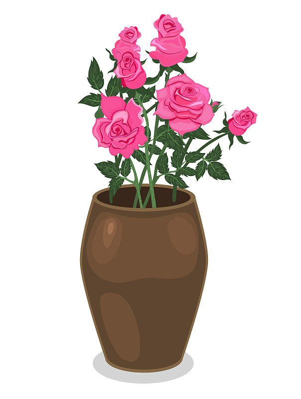 玫瑰,花盆,矢量,分离着色,数码图形,白色背景,贺卡,清新,背景分离,浪漫