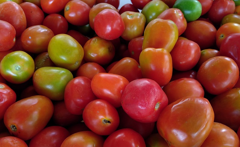 西红柿,背景,红色,农业,蔬菜,清新,食品,熟的,成分,丰富