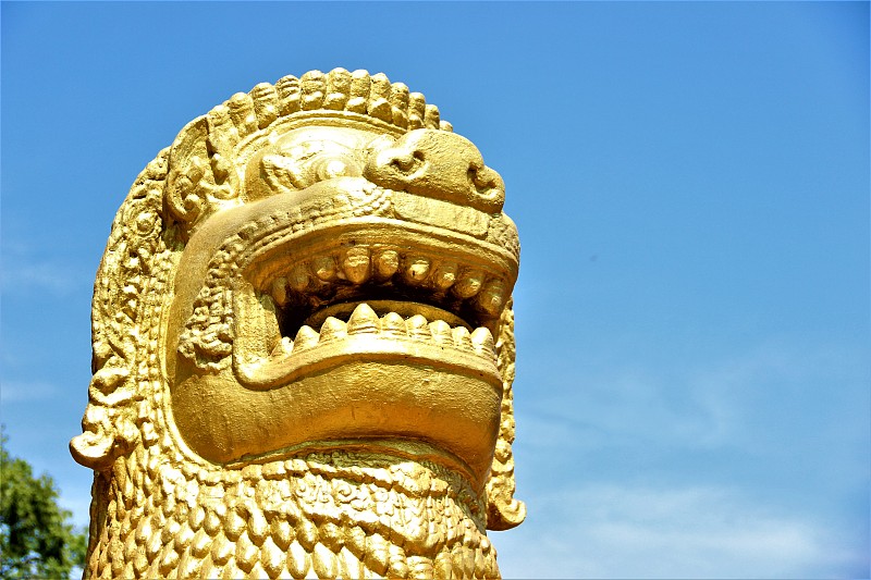 柬埔寨,园林,暹粒,金狮奖,动物头,照明设备,肖像,狮子,猫科动物,著名景点