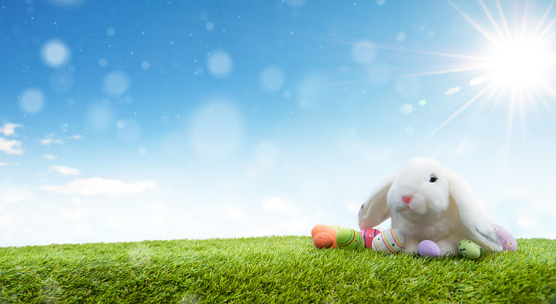 复活节兔子,贺卡,复活节,云景,云,哺乳纲,草,动物,鸡蛋,兔子