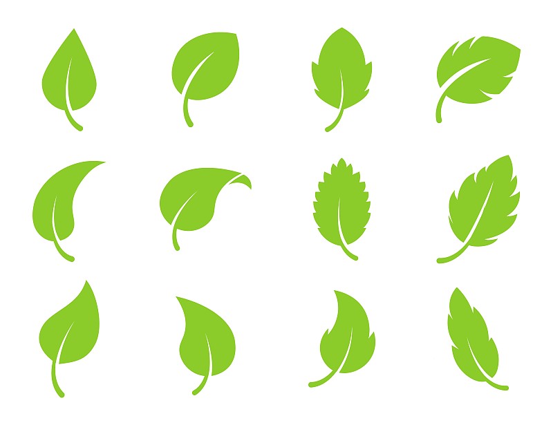 生物学,环境,品牌名称,植物,图标集,叶子,矢量,式样,森林,树