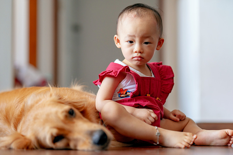 狗,亚洲,幼儿,可爱的,真实的人,新加坡,青春期,女婴,肖像,健康