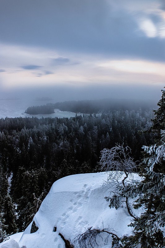 芬兰,寒冷,云,霜,雪,草,湖,杉树,植物,岩石