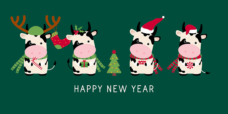 可爱的,春节,新年前夕,母牛,背景,冬天,图像,公牛,野牛